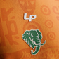 Maillot Ivory Coast